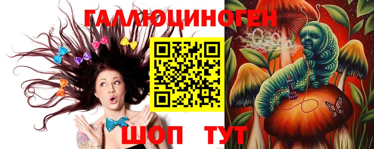 Горячий Ключ  где купить   Вход с VPN  Галлюциногенные грибы Cubensis 